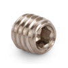 Husqvarna 505186601 Screw Sk6ss 6x10 A2 Din916