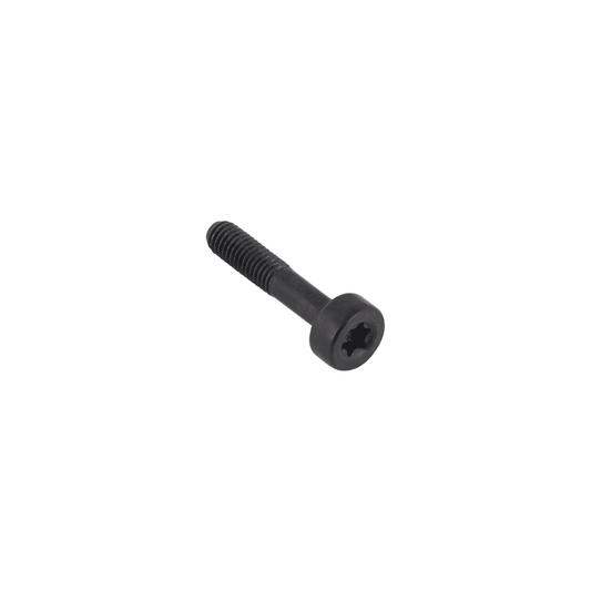 Husqvarna Screw ITXSCM Internal Torx Socket Head Cap M 5 X 25 10.9 ZnFe